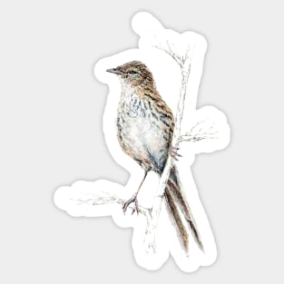 Mr Matata, New Zealand Fernbird Sticker